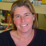 Nathalie-Delzenne Nathalie-Delzenne